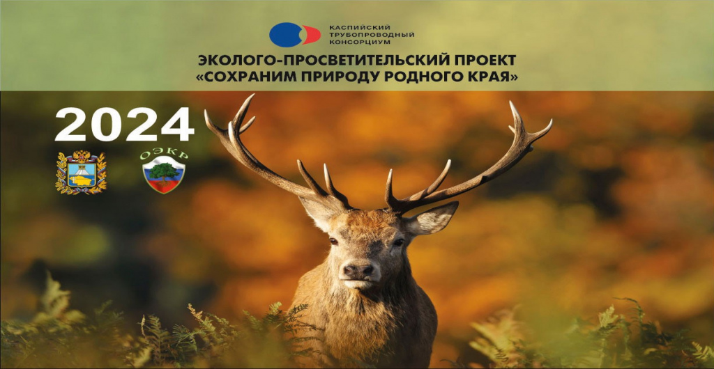 ПОЛОЖЕНИЕ о конкурсе фотографий «Природы затаенное дыханье»