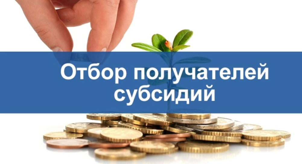 О субсидии на развитие сельского туризма