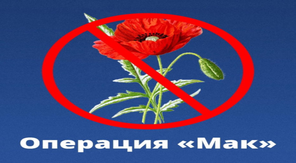 О проведении оперативно-профилактической операции «Мак-2026»