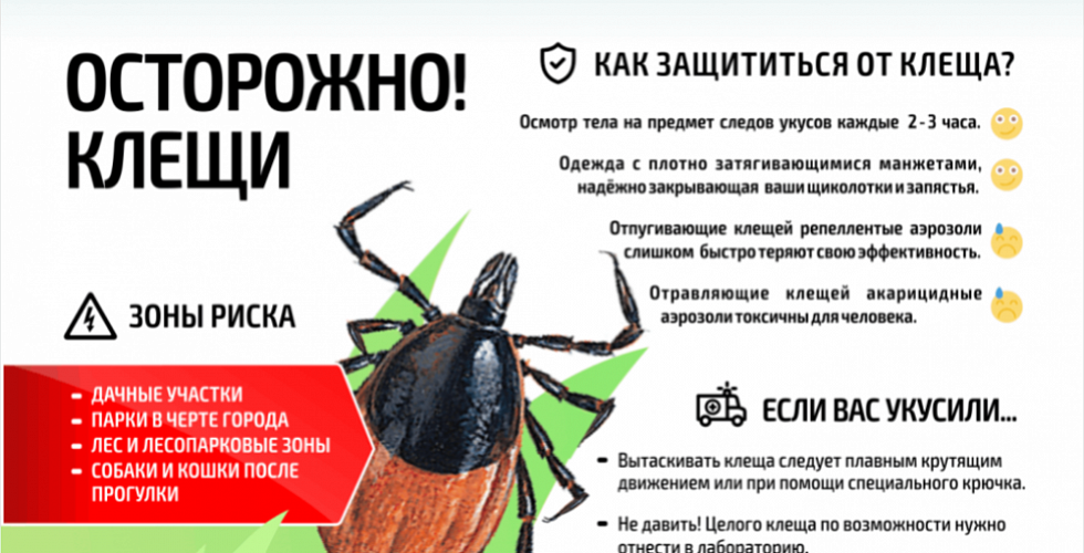 Крымская геморрагическая лихорадка