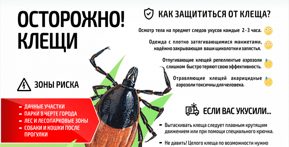 Крымская геморрагическая лихорадка