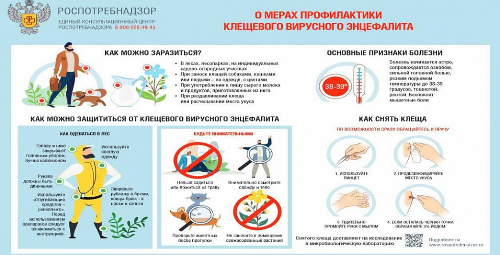 Осторожно! Клещи!